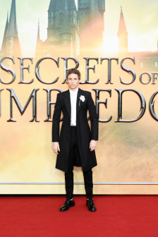 久久草莓和红颜草莓的区别